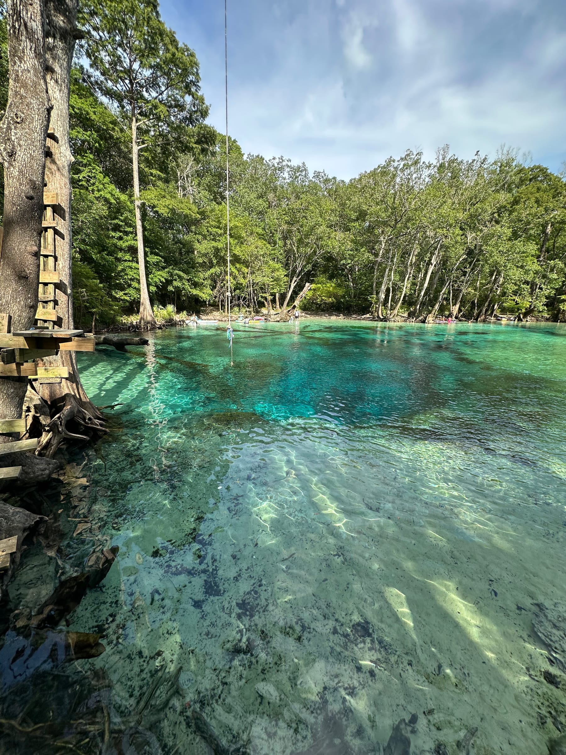 Clear Florida spring water